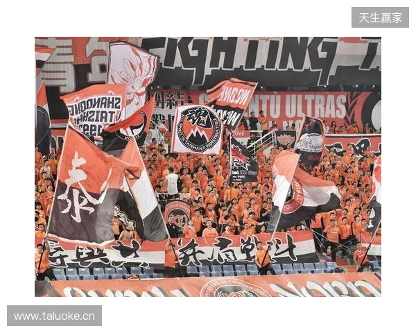 苗原谈泰山引援:账户里有200万水平购买力 但文旅决策尽量少花钱 苗原谈泰山引援:账户里有200万水平购买力 但文旅决策尽量少花钱